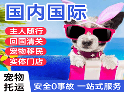 成都双流空运国际宠物托运 【国